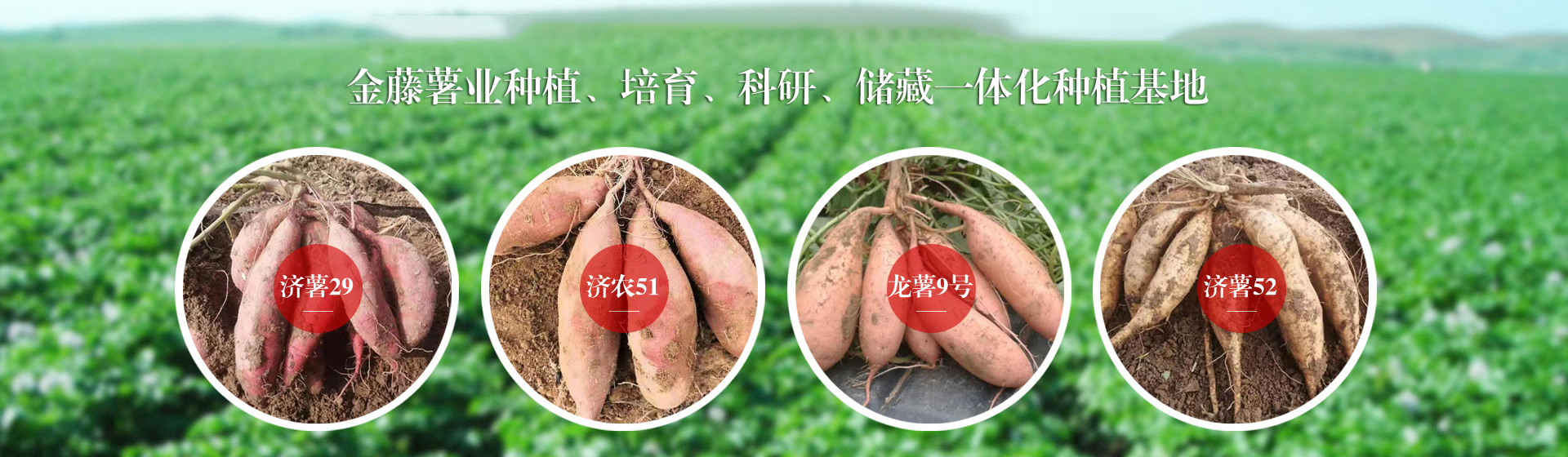 產(chǎn)品中心
