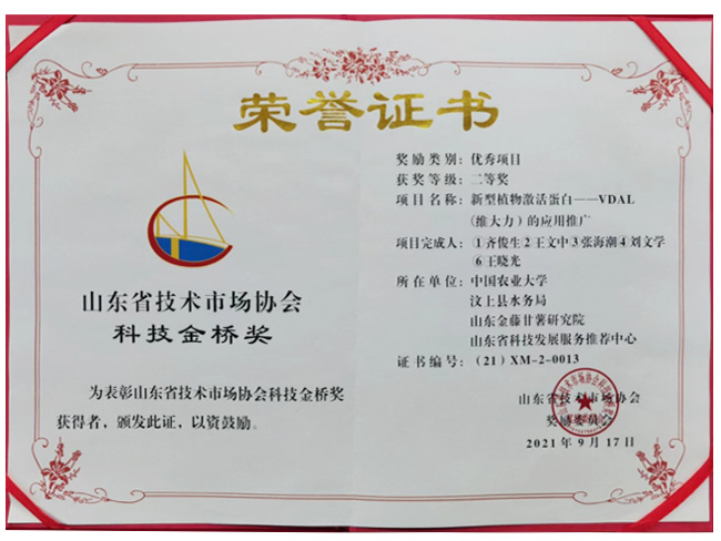 榮譽證書