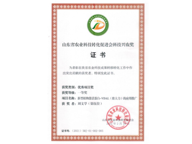 榮譽證書