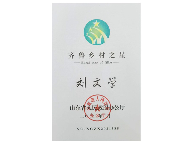齊魯鄉(xiāng)村之星