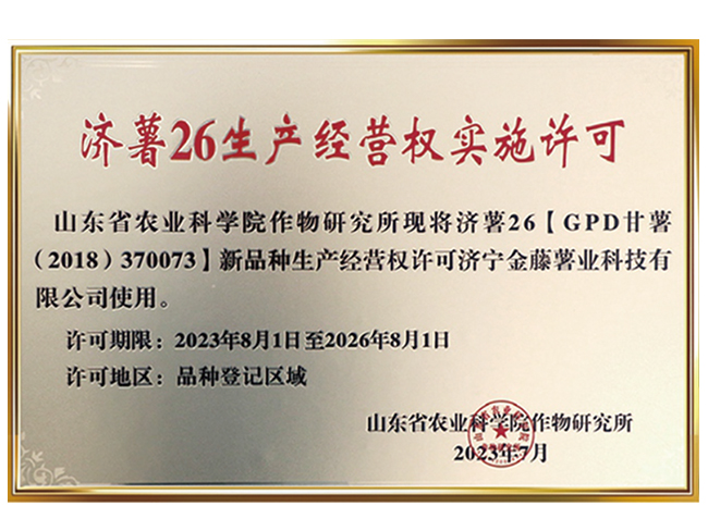 濟薯26生產經(jīng)營權實施許可