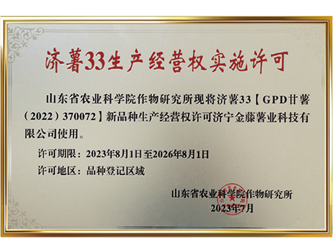 濟薯33生產經(jīng)營權實施許可