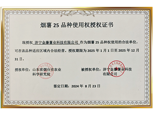 煙薯25品種使用權授權證書